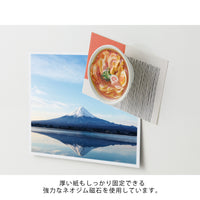 Fridge magnet with Mount Fuji and a bowl of soup on a white background